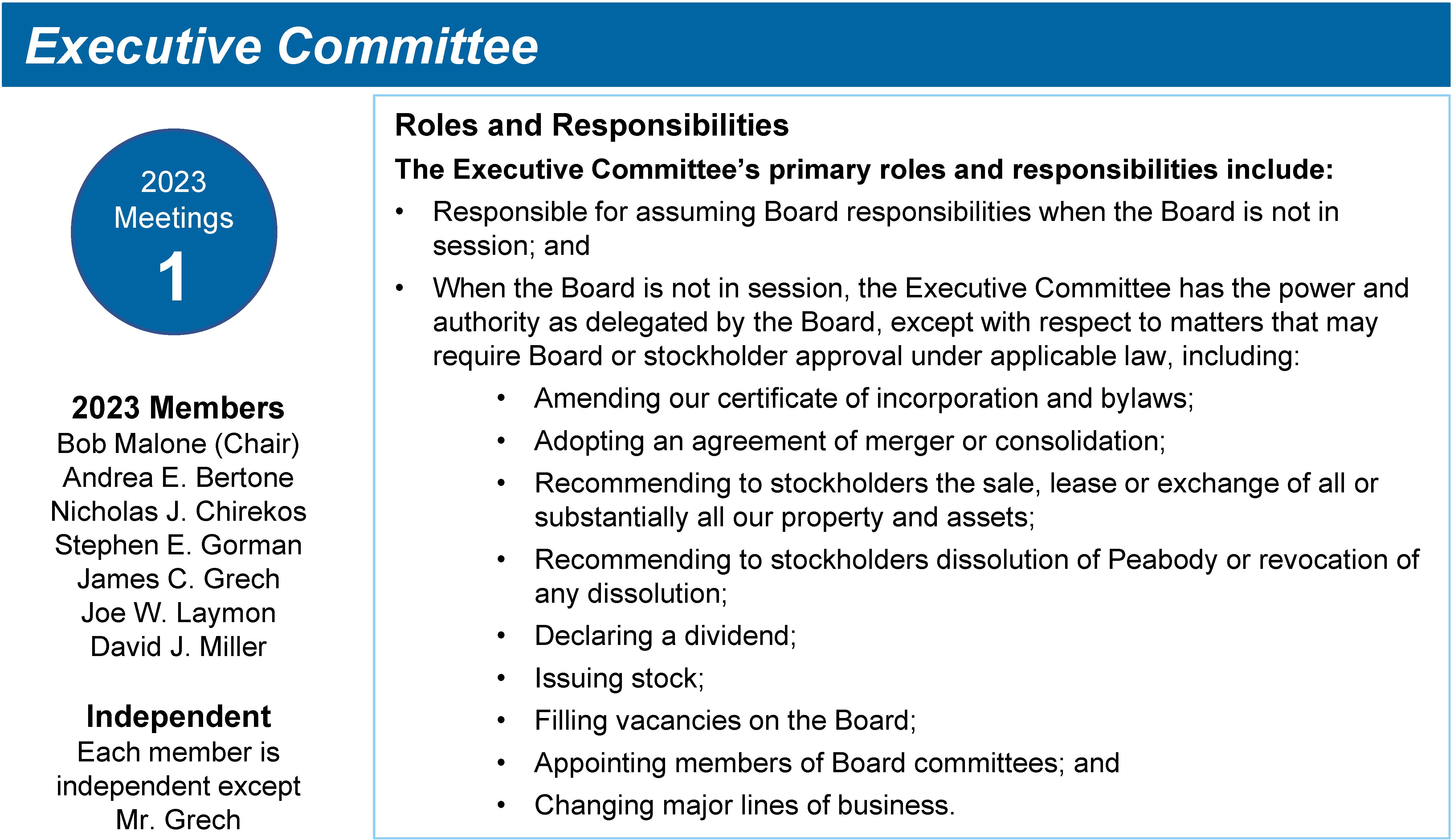 Committee Roles and Responsibilities_Updated_Exec.jpg